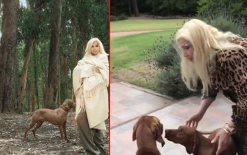 El impresionante jardín de Susana Giménez en su mansión de Punta del Este