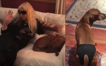 Desopilante: Susana Giménez mostró su método de ponerle una tanga a su perra Rita
