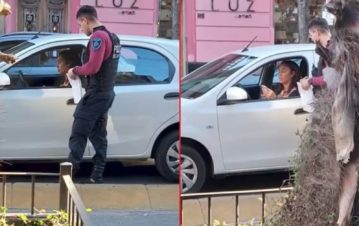 Ernestina Pais chocó en Palermo y los vecinos la escracharon