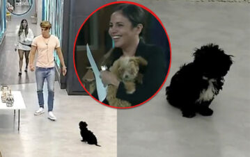 La angustia y la tristeza de la perrita Mora en Gran Hermano al no encontrar a Caramelo en la casa