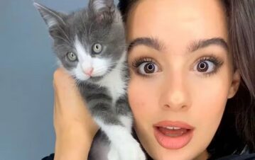 Flor Jazmín Peña mostró su última locura: el innovador gimnasio que hizo para su gato