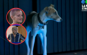 Qué hicieron los jugadores de Gran Hermano al encontrarse por primera vez con Arturo, la nueva mascota