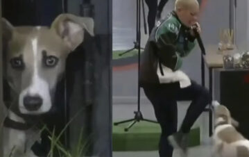 El urgente pedido de los rescatistas de Arturo tras la patada que le pegó Furia en Gran Hermano
