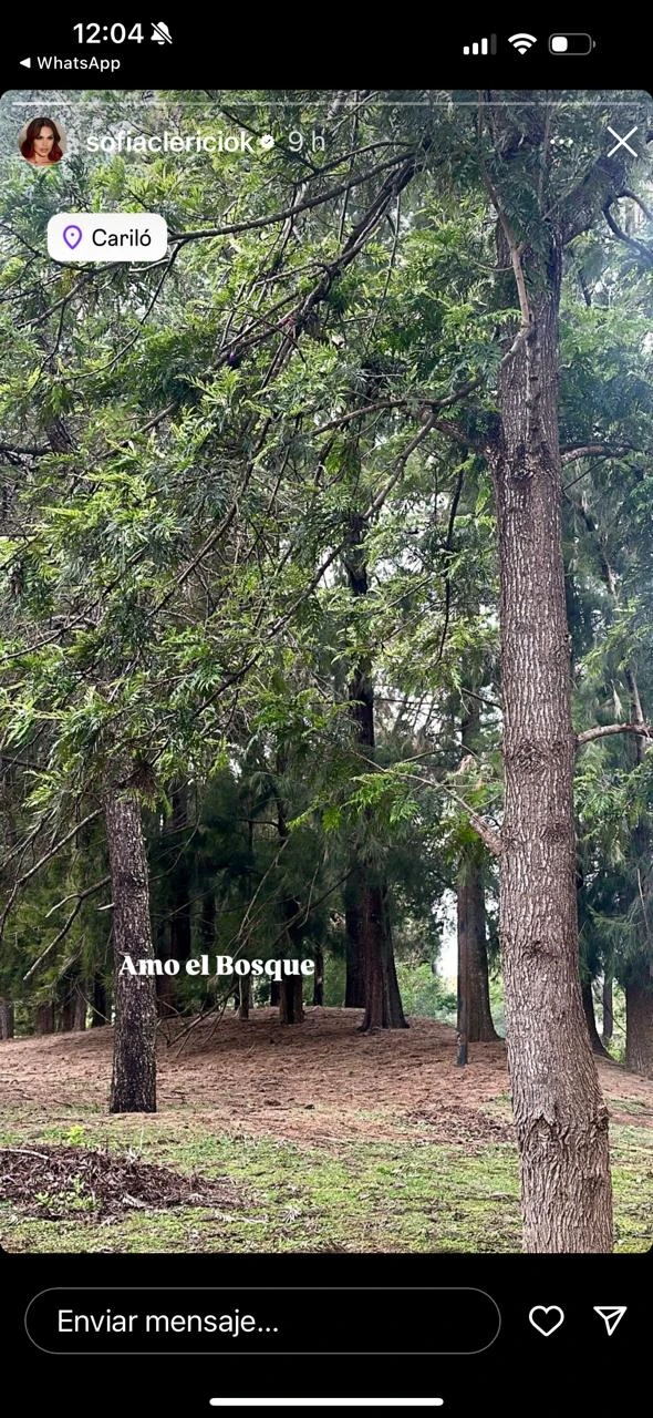 LA VERSION DE SOFIA Y LUCIANO DE "JUGUEMOS EN EL BOSQUE".