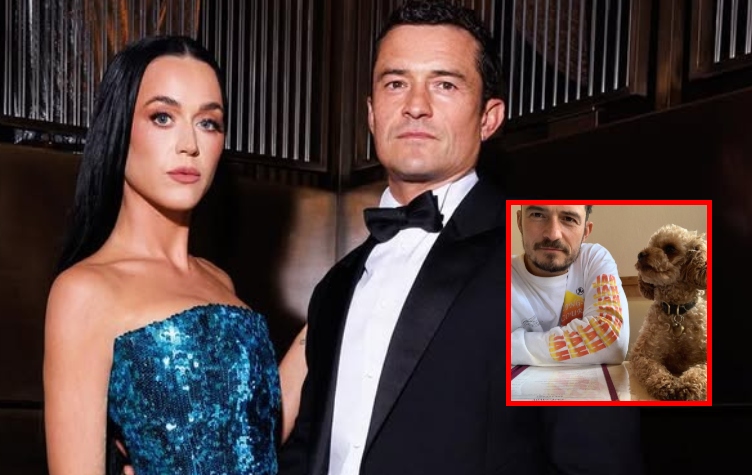 Orlando Bloom y su mascota: un momento de terror a días de ser padres